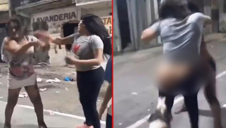 Sokak köpeği, kavga eden kadının taytını aşağı indirdi! O anlar anbean kameraya yansıdı